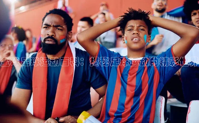k8凯发·天生赢家百度手机输入法全球足球运动百科：揭秘足球运动的精彩世界