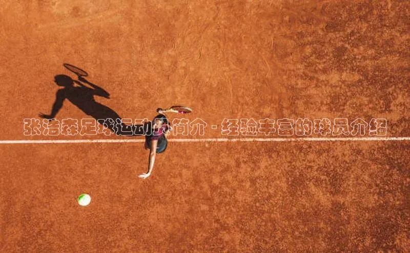 凯发k8(中国)天生赢家百度翻译张浩森足球运动员简介 - 经验丰富的球员介绍