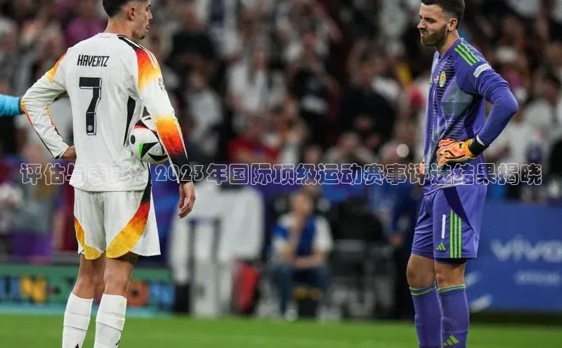 评估与表彰：2023年国际顶级运动赛事评选结果揭晓