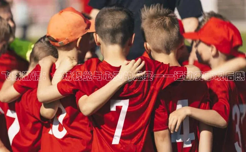 飞跃激情：一场视觉与心灵的盛宴——运动赛事观后感