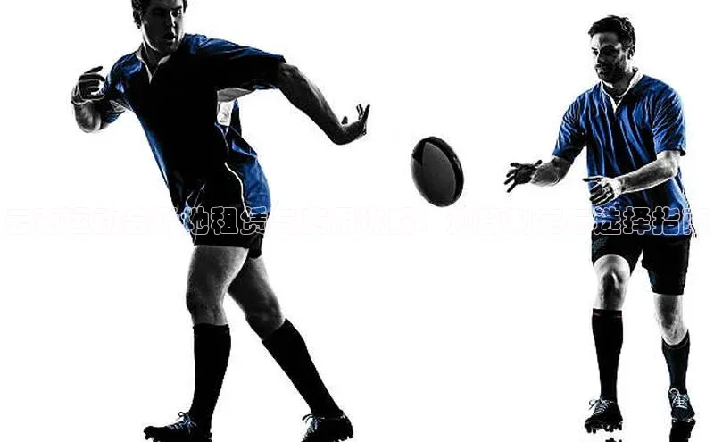 云南运动会场地租赁与费用详解：预算制定与选择指南