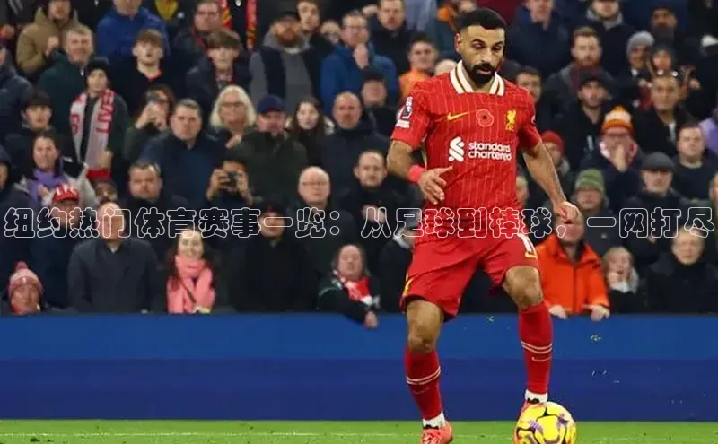 纽约热门体育赛事一览：从足球到棒球，一网打尽