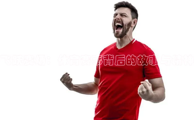 飞跃赛场：体育赛事背后的故事与精神