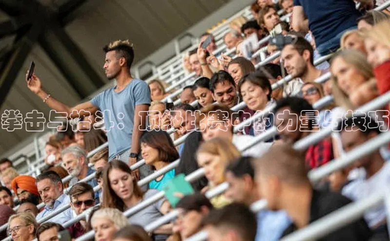 拳击与格斗：顶级比赛中的力量与技巧