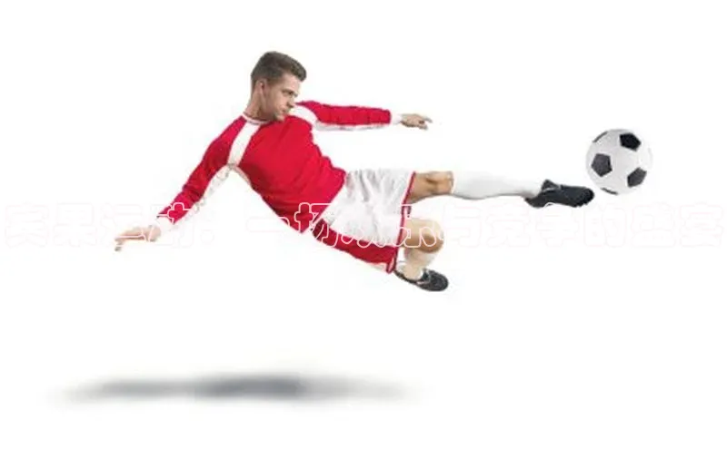 宾果运动：一场欢乐与竞争的盛宴